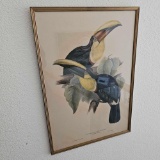 CHARLES HULLMANDEL TOUCAN PRINTS