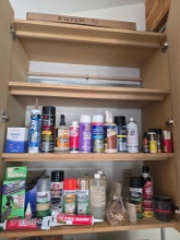 CONTENTS OF CLOSET