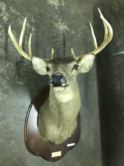 Buck Mount