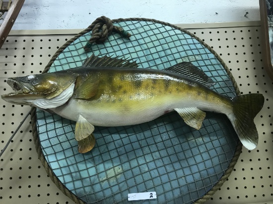 Walleye Mount