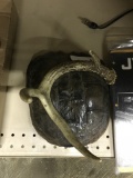 Antler on Turtle Shell (lot 23)