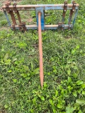 Blue Hay Spear