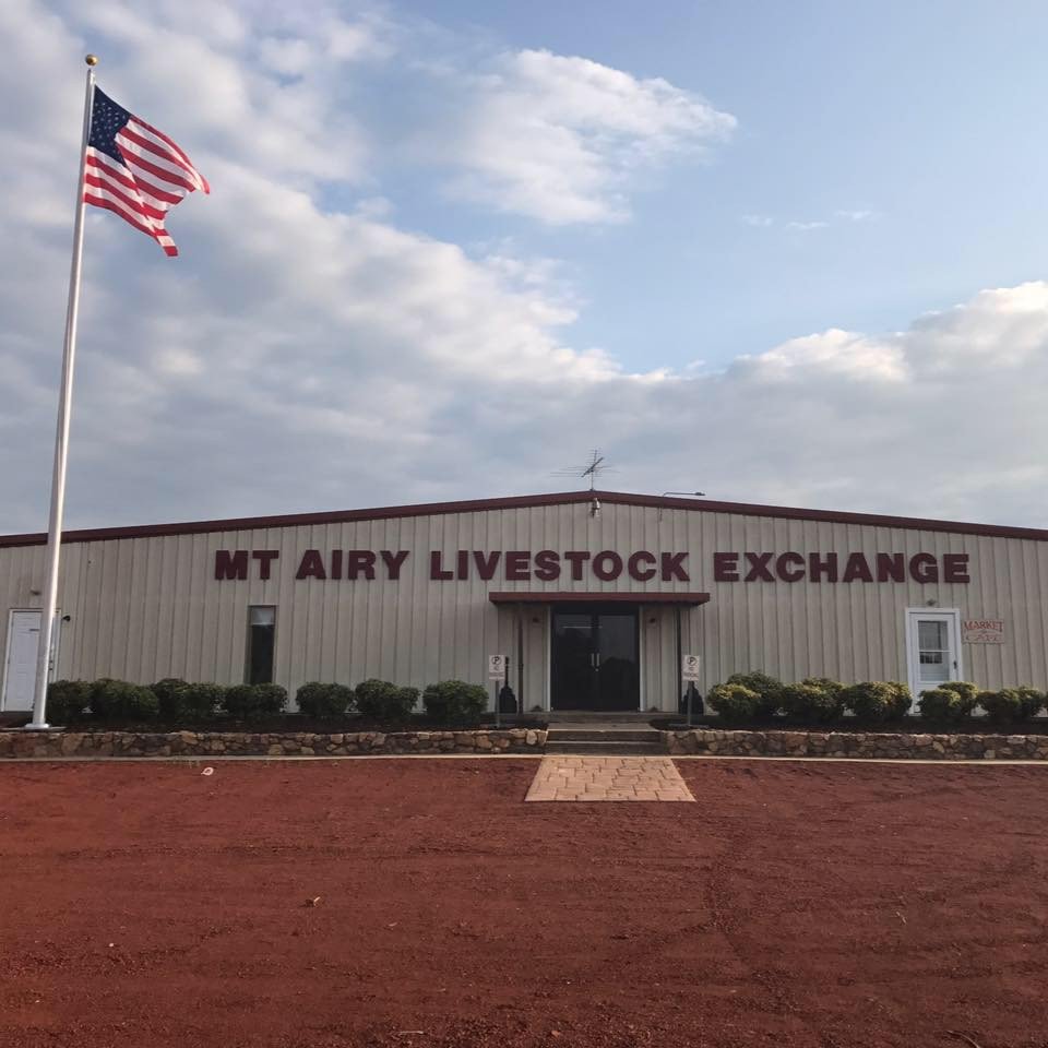 Mt Airy Livestock Exchange