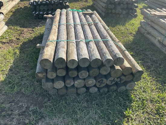 7 ft by 4 in Treated Fence Post Bundle, 36 per bundle