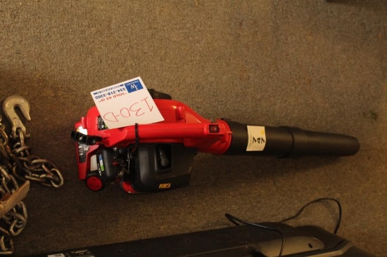 CRAFTMAN BLOWER, SN: 1H040DH2298, WORKS