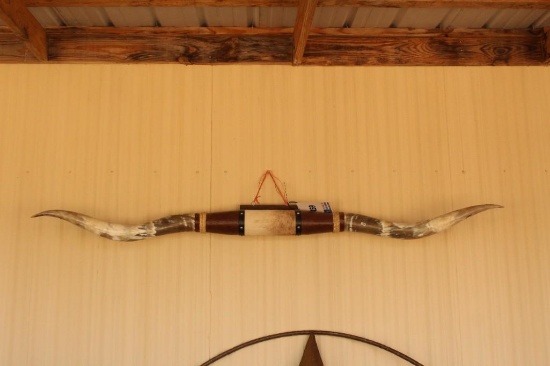 MOUNTED BULL HORNS 7'L X 4'' DIAMETER
