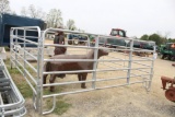 SET OF 5- 12' LIGHT WEIGHT CORRAL PANELS