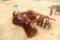 5' DISC HARROW