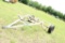 WHITE TUMBLE BUG HAY DOLLY