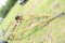 YELLOW TUMBLE BUG HAY DOLLY