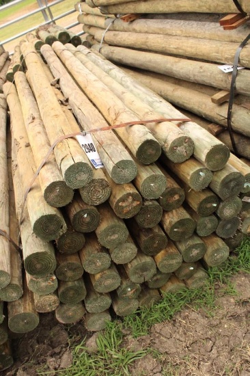 4 X 8 WOOD POST 45 CT