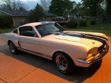1966 Ford Shelby GT 350 Fastback Tribute