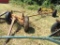 Wagon Running Gear