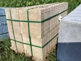 11-3/4x11-3/4x3 Skid of Pavers