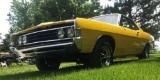 1969 Ford Fairlane Cobra