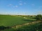 120 +/- ACRE TRACT OF FARM/PASTURELAND