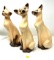Three vintage Siamese cats
