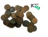 Indian Head Cents (43) - Mixed Dates