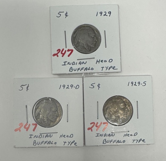 3 - 1929 BUFFALO NICKELS