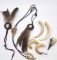 Boars Tusks. Crow Skull. Mountain Lion Bolo.