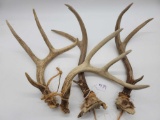 2 Sets Of Antlers