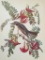 c1946 Audubon Print, #170 Gray Kingbird