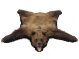 Brown Bear Skin Rug With Head And Claws. 65 X 61