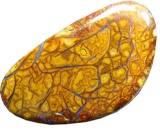 Pattern Yowah opal from the Queensland opal field 22.20 cts