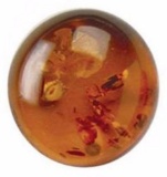 Golden Baltic Amber Aaa Round Cabochon 10mm Loose Gemstone