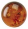 Golden Baltic Amber Aaa Round Cabochon 3.87cts Loose Gemstone