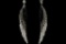 Black Gray & Clear Czech Crystal Feather Earrings