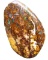 Yowah Opal Cut Stone 20.05 Cts Sparkles Of Fire