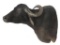 Water Buffalo Shoulder Trophy Mount