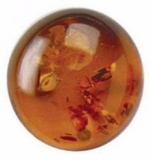 Golden Baltic Amber Aaa Round Cabochon 3.87cts Loose Gemstone