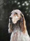 Original Oil on Canvas Hunting Dog Series. signed, Y.O.G. Bianco - Master Artist. Unique,