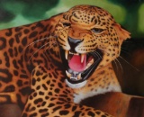 Signed Oil on Canvas Painting, African Leopard