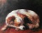 Original Oil on Canvas Hunting Dog Series. signed, Y.O.G. Bianco - Master Artist. Unique,
