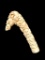 Carved Shed Antler Roman Catacomb Skeleton Skulls Cane