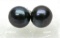 11-11.5mm Black Aaa South Sea Pearl Earring 14k White Gold