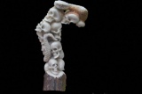 Skulls Group with Snake Carved Handle 156mm in Deer Antler Carving