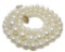 Fine Graduated Aaa White 4.5-9mm Akoya Pearl Necklace 17
