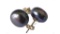 10-11mm AAA SOUTH SEA Black Pearl Stud Earrings 14k fashion and beautiful