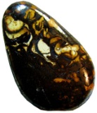 Conglomerate Boulder Opal High Polish Stone 54.75cts