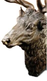 Signed Carl Kauba Life Size Elk Head Bust Bronze Stag Sculpture Statue