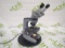 American Optical 1036 Binocular Microscope - 38682