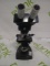 Bausch and Lomb Binocular Microscope - 44174