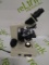 Seiler Instrument & Mfg. Co. Inc. Microlux II Binocular Microscope - 46915