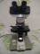Accu-scope Incorporated Binocular Binocular Microscope - 56204