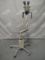 Olympus Corp. OCS-3 Colposcope - 60041