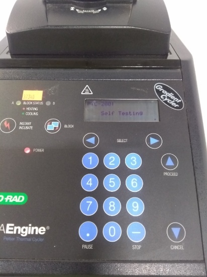 Bio-Rad PTC-200 Thermal Cycler - 189871